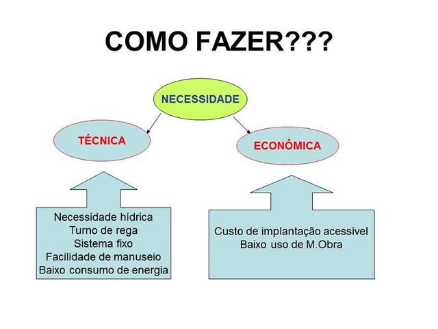 dracen_18_maio_2013 (76).JPG